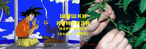 2c-b Богородицк