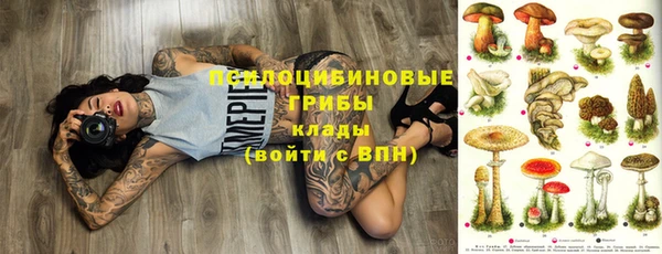 а пвп мука Богданович
