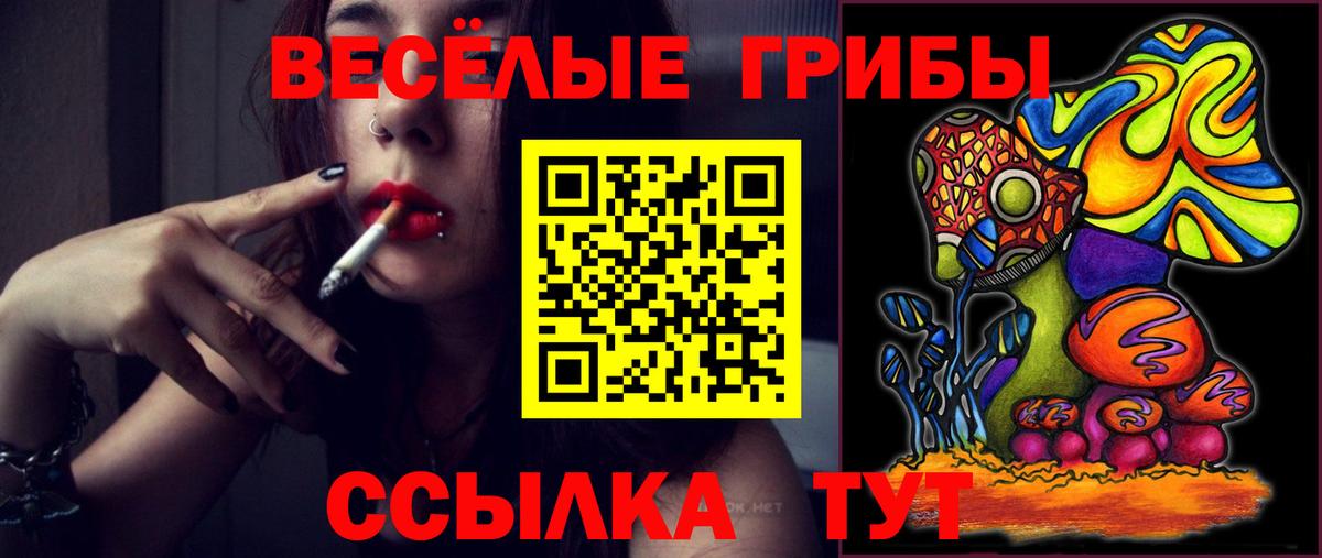 Галлюциногенные грибы Psilocybe  Вход с VPN  Верхняя Салда  Галлюциногенные грибы прущие грибы 